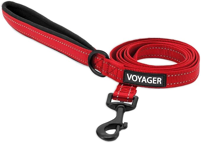 Best Pet Supplies Voyager Reflective Dog Leash or Collar by BestPetSuppliesLLC