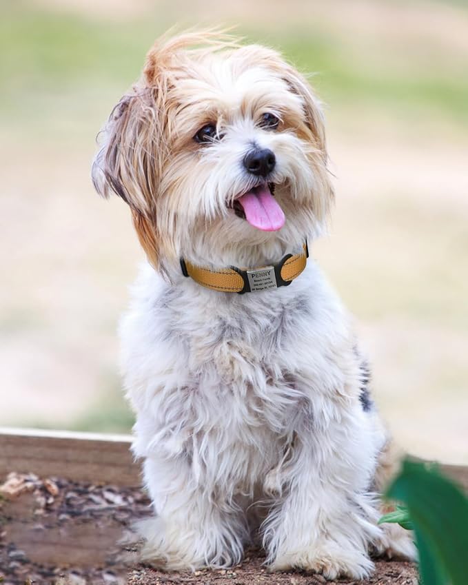 TagME Reflective Nylon Dog Collars, Adjustable Classic Collar - Image 2