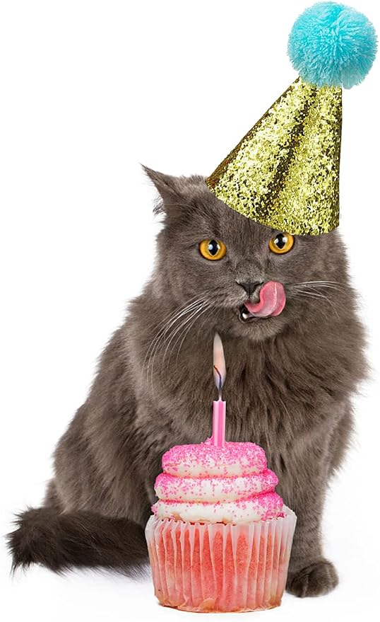 4 Pcs Cat Birthday Hat Bowtie Small Dog Hat Headband Topper Bowtie Adjustable - Image 4