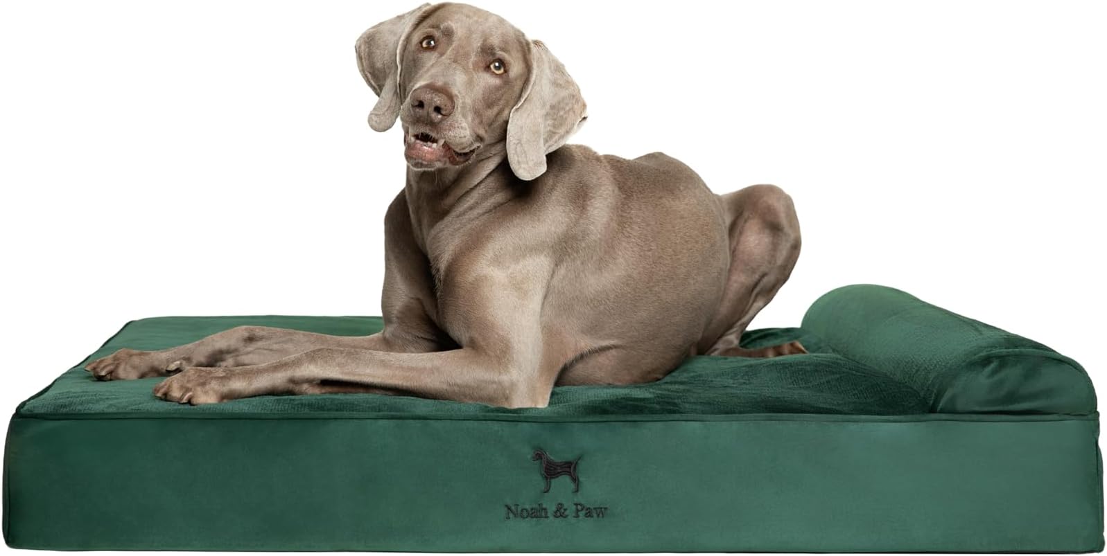 NOAH & PAW XL Dog Bed, Orthopedic Large Dog Beds, Eggshell Memory Foam Infused by NoahPaw