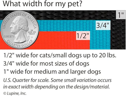 LupinePet Originals 1" Jelly Roll 12-20" Adjustable Collar - Image 5