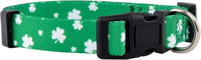 Native Pup St Patricks Dog Collar- Saint Patrick Green Shamrock Pet Collars- by NativePup
