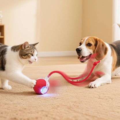Interactive Electric Automatic Rolling Moving USB Rechargeable Self Activated - Image 6