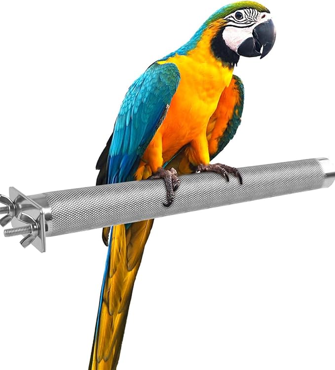 KATUMO Parrot Perch by KATUMO