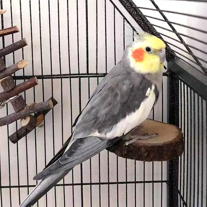 Hamiledyi Perch Platform for Bird Cage, Natural Round Wooden Stand Platform - Image 3