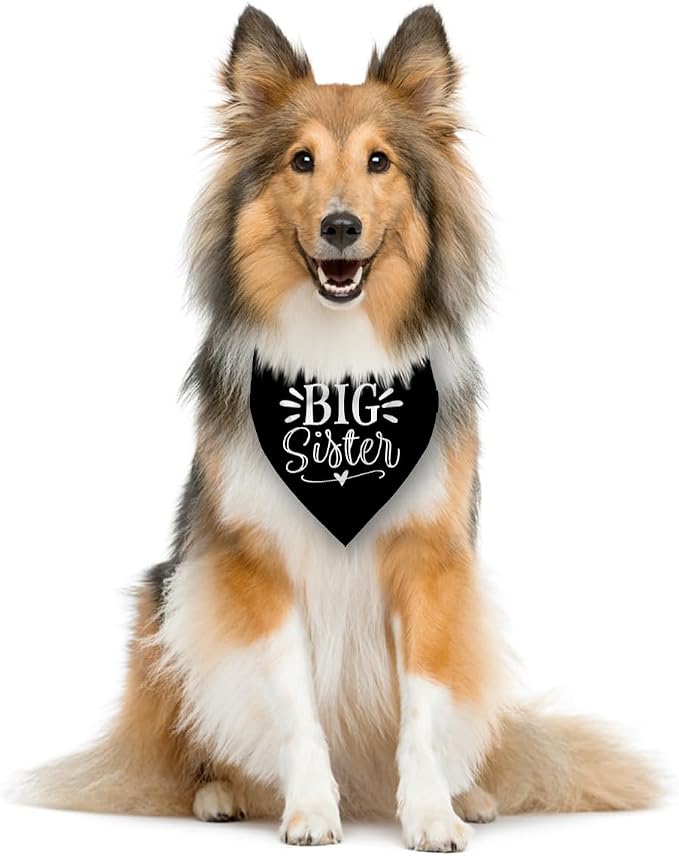 Big Sister Bandana for Dog, Pet Pregnancy Announcement, Big Sister Dogs Shirt - Image 3