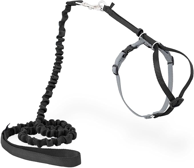PetSafe Come With Me Kitty Cat Harness & Bungee Leash by PetSafe