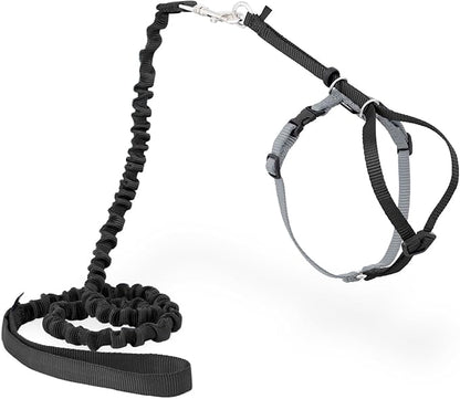 PetSafe Come With Me Kitty Cat Harness & Bungee Leash by PetSafe