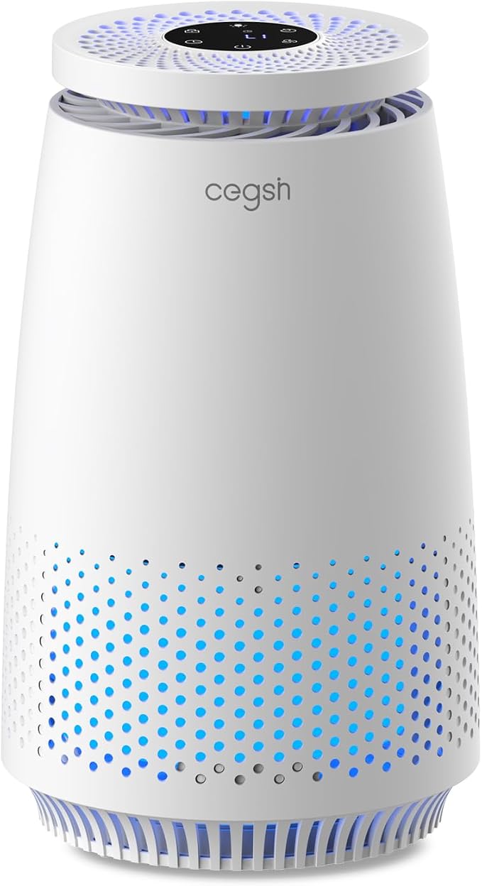 Air Purifiers for Home Bedroom, 3-in-1 HEPA Filter for Pets Dander Dust Pollen by MeansSimpleLife