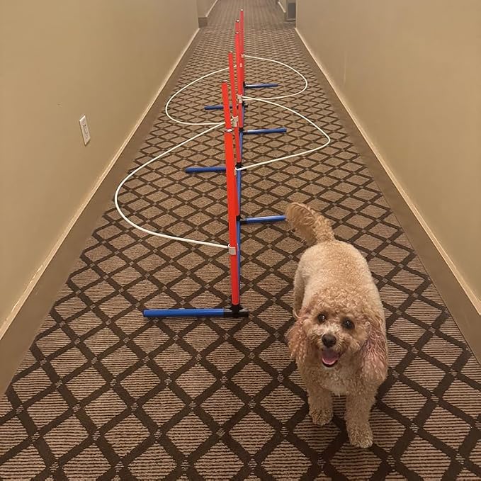 Dog Agility Weave Pole Guides – Training Aids - Image 2