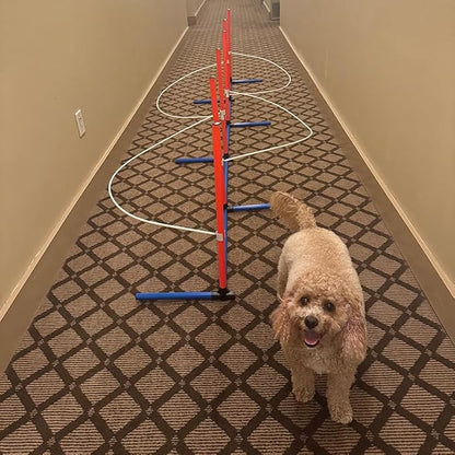 Dog Agility Weave Pole Guides – Training Aids - Image 2