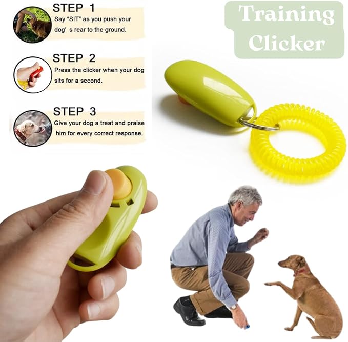 PupLuxe Puppy Starter Kit - Image 4