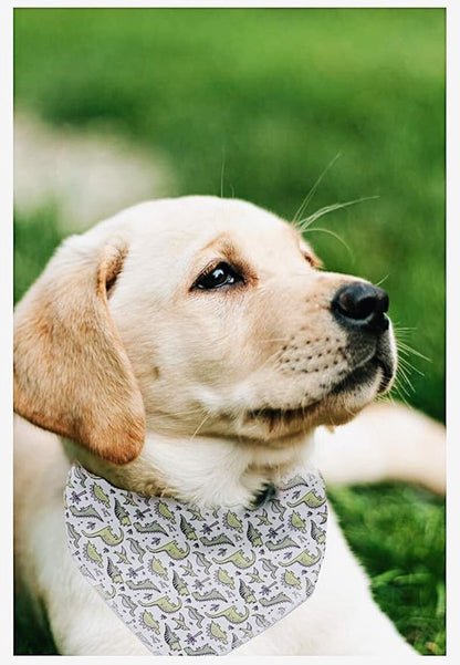 ARING PET Dinosaur Dog Bandanas, Summer Kerchief Triangle Bibs Scarf - Image 5