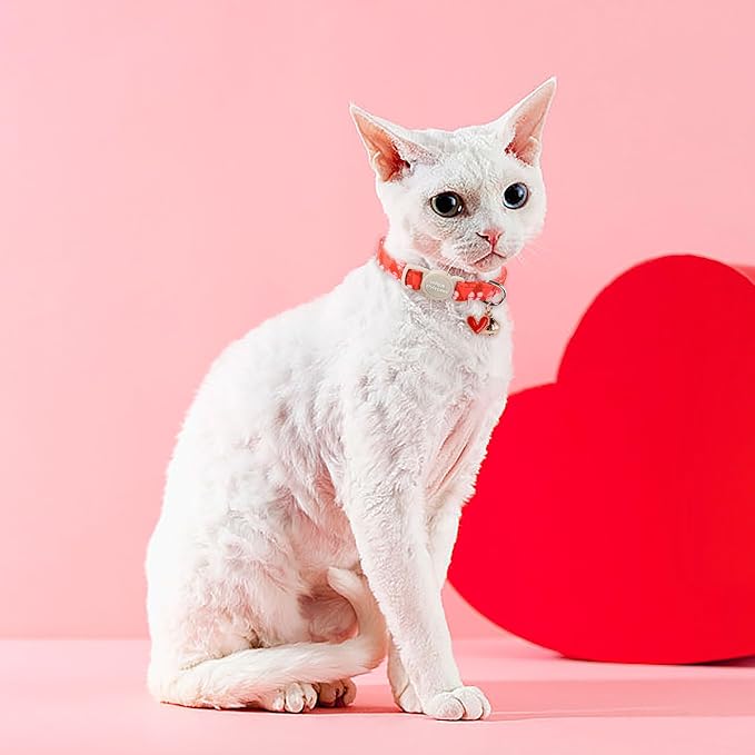 Unique style paws 2 Pack Valentine's Day Kitten Collar Breakaway - Image 6