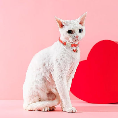Unique style paws 2 Pack Valentine's Day Kitten Collar Breakaway - Image 6