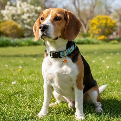 Cute Dog Collar, Puppy Collar - Image 6