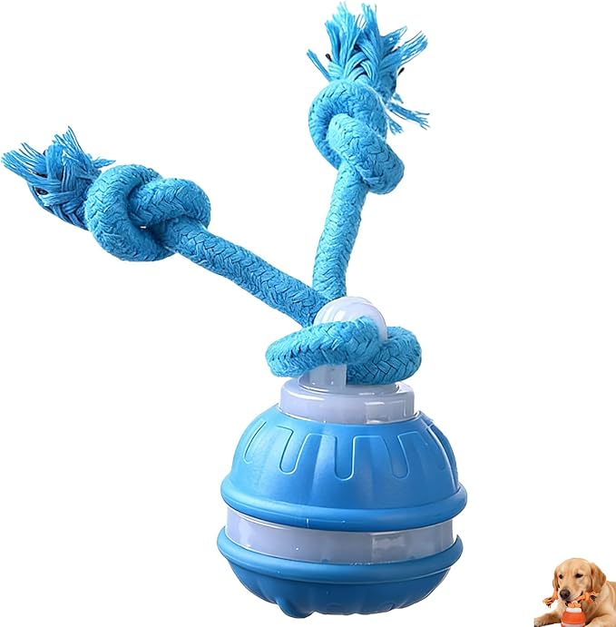 Interactive Dog Toys, Upgraded Motion Activated Rolling Dog Ball Toy by Unknown