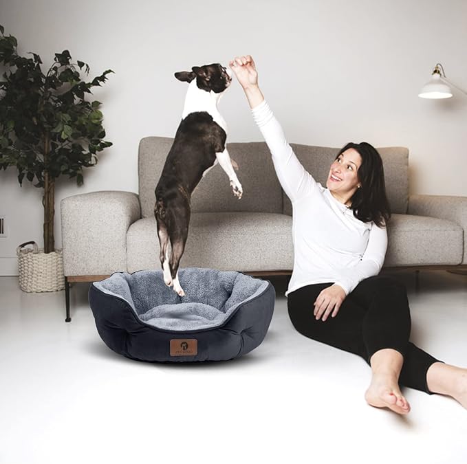 Asvin Small Dog Bed for Small Dogs, Cat Beds for Indoor Cats, Pet Bed for Puppy - Image 5