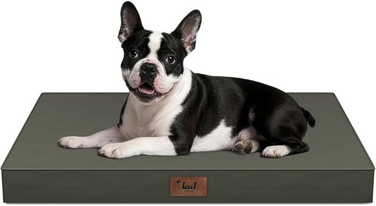 Outdoor Dog Bed for Small Dogs, Waterproof Dog Crate Bed for Medium Dogs Cats by TailStories