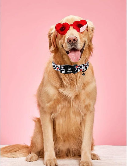 Valentine's Dog Collar, UP URARA PUP Love Heart Adjustable Pet Collar - Image 6