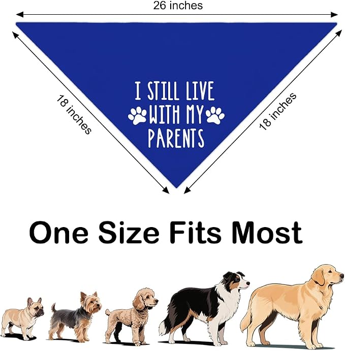 I Still Live with My Parents Blue Dog Bandana, Humor Gifts - Image 2