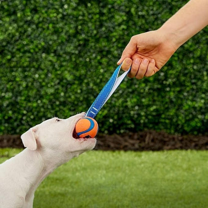 Chuckit! Ultra Tug Dog Toy, Small Fetch and Dog Ball Tug Toy - Image 4