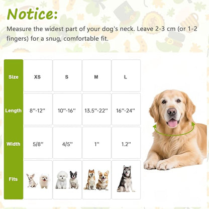 St. Patrick's Day Dog Collar, Light Green Puppy Collar - Image 2