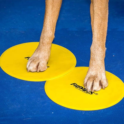 FitPAWS Targets - Image 2