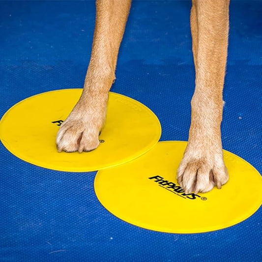 FitPAWS Targets - Image 2