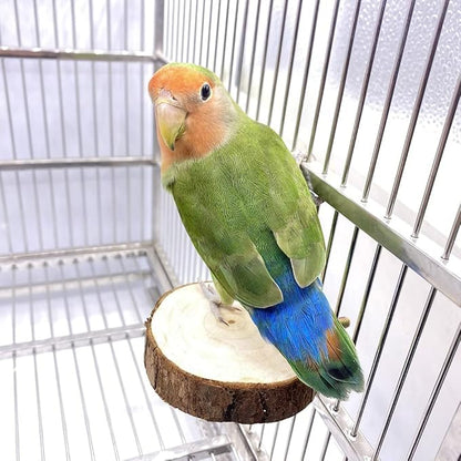 9-Piece Parrots Chewing Toy Set - Image 3