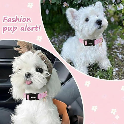 Small Dog Collar, Girl Boy Dog Collars - Image 4