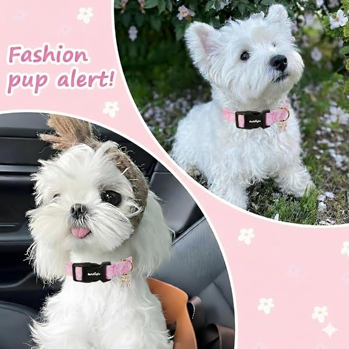 Medium Dog Collar, Girl Boy Dog Collars - Image 4