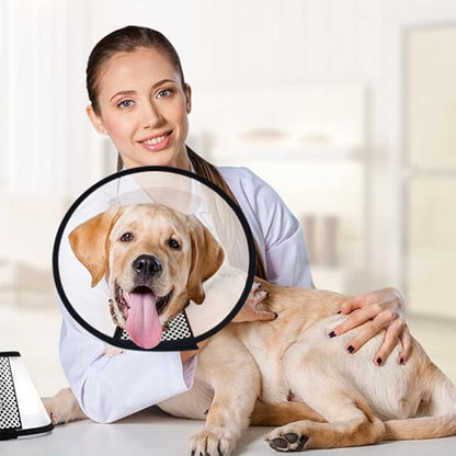 Plastic Pet Recovery Collars & Cones - Image 6