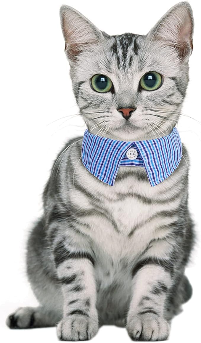 Faleela 2 Pack/Set Cat Collar - Image 5