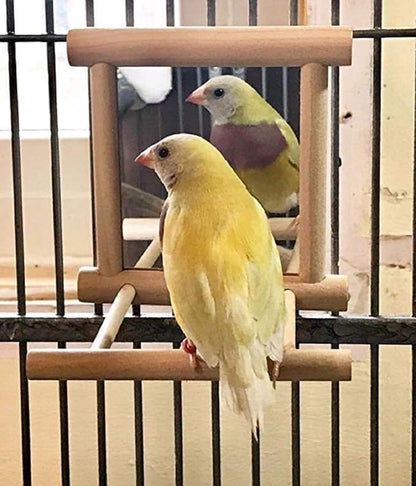 Birds Mirror for Cage, Parrot Hanging Swing by zmgmsmhendlessefforts