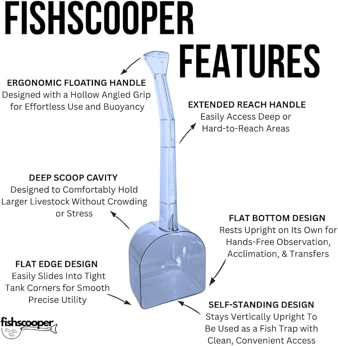 Fish Scooper, Acclimation Container, Fish Trap, Floating Fish Net, Axolotl Tank - Image 6