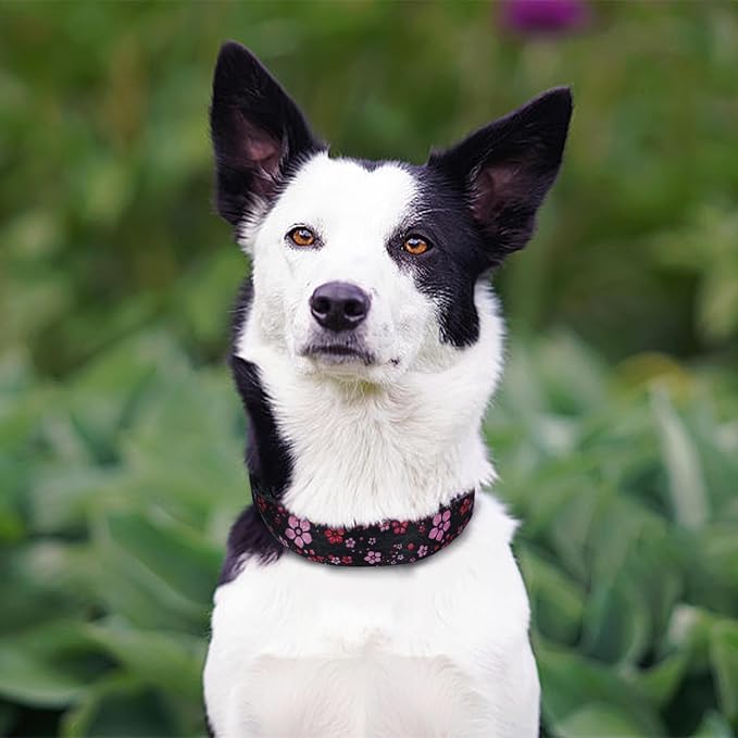 QQPETS Adjustable Soft Dog Collar: Print Flower Pink Multicolor Cute Patterns - Image 5