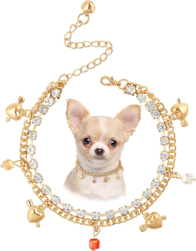 HOWWFALY Dog Collar and Cat Chain Necklace Stainless Steel Adjustable 18K Gold by HOWWFALY