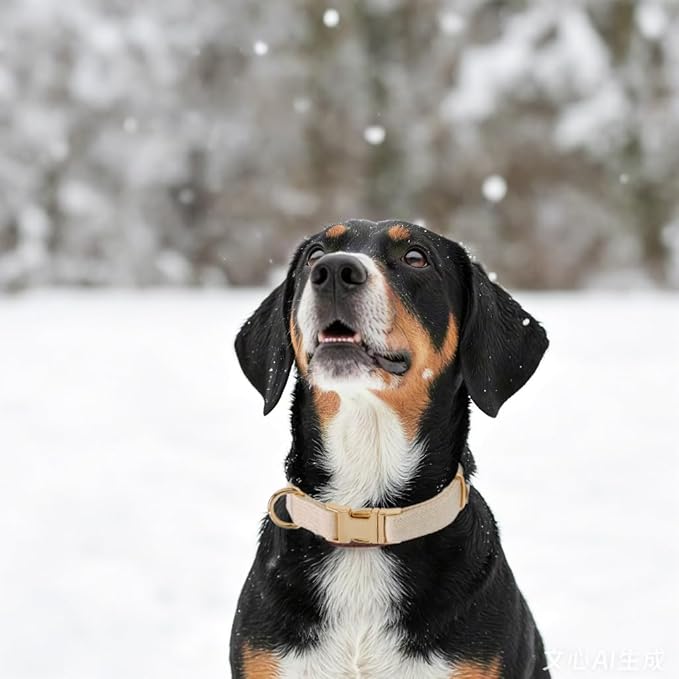 Soft Cotton Hemp Dog Collar - Image 3