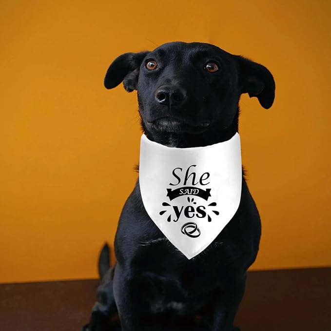 She Said Yes Dog Bandanas, Wedding Dog Scarf, Engagement Announcement Pet Scarf - Image 4