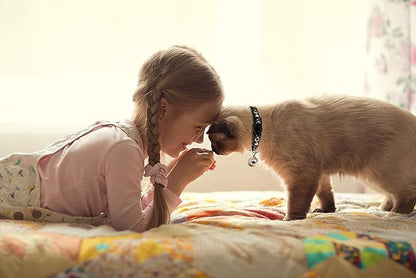 Baeuppit 2PCS Breakaway Cat Collars - Image 7