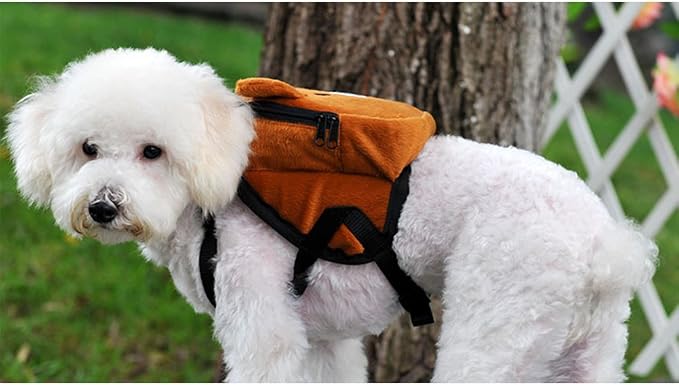Pet Backpack, Cute Dog Backpack - Image 2