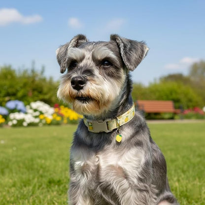 Dog Collar, Spring Summer Dog Collar - Image 7