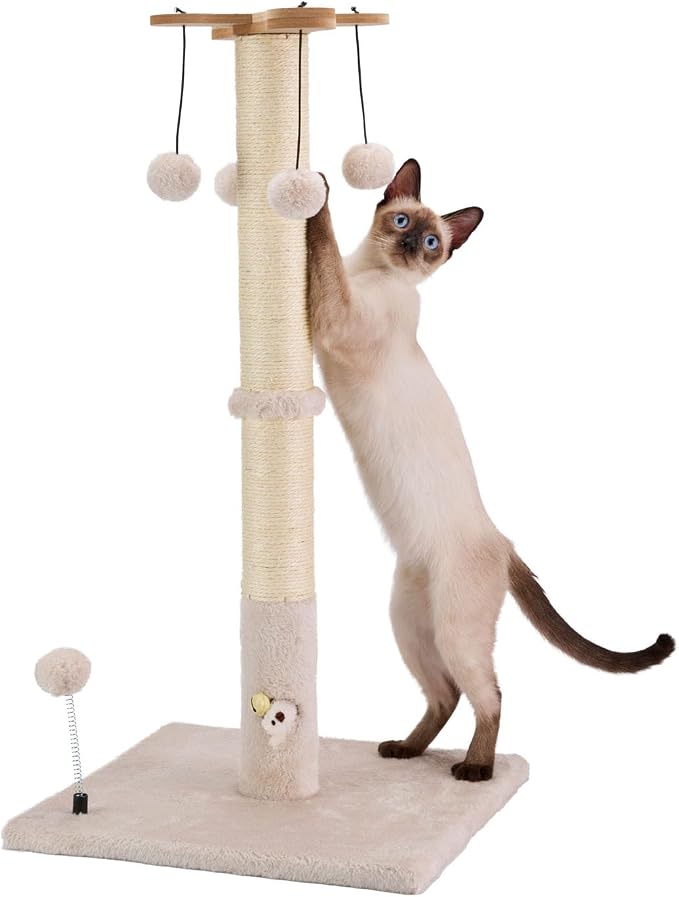 PAWSFANS Cat Scratching Post for Indoor Cats and Kittens, 30inches Tall Sisal by Pawsfans