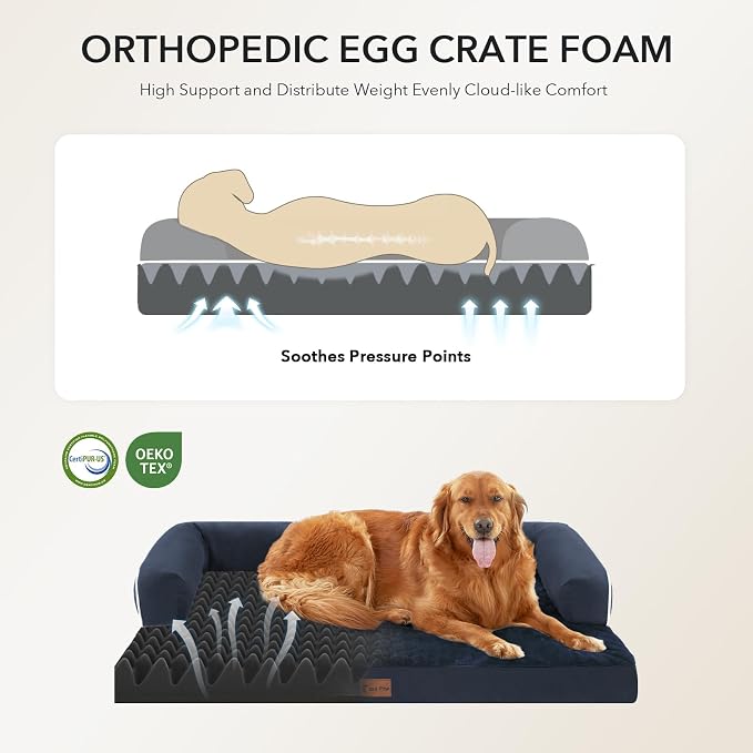 Orthopedic XXL Dog Beds, Waterproof Egg Crate Foam Big Pet Bed - Image 2