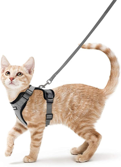 rabbitgoo Cat Harness and Leash by rabbitgoo