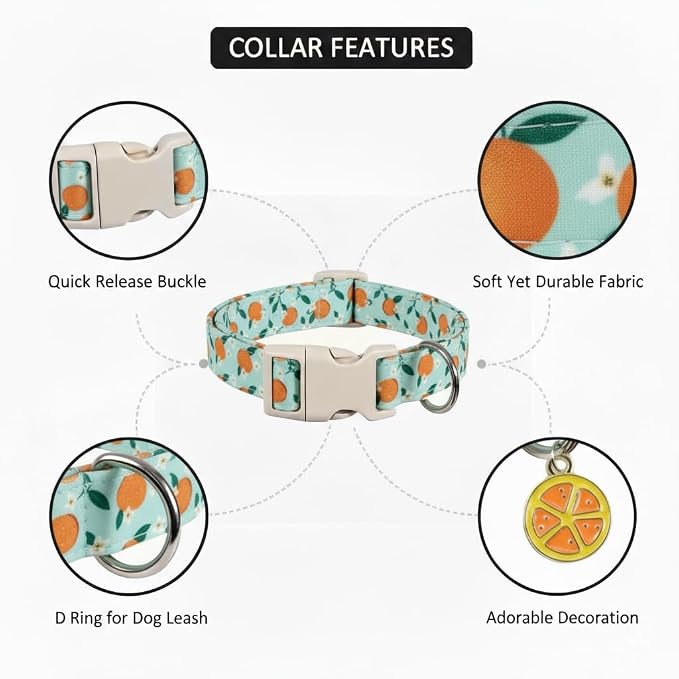 Dog Collar, Spring Summer Dog Collar - Image 3