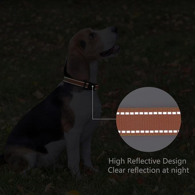 Reflective Dog Collar Padded - Image 5