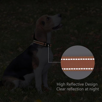 Reflective Dog Collar Padded - Image 5