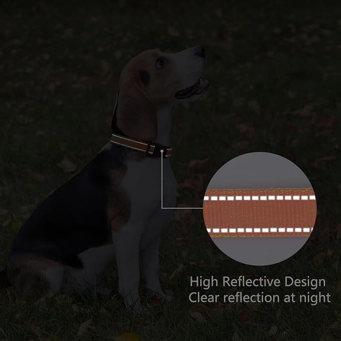 Reflective Dog Collar Padded - Image 5